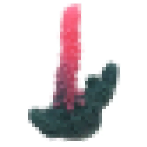 【虫が苦手な方は閲覧注意】蟲龍