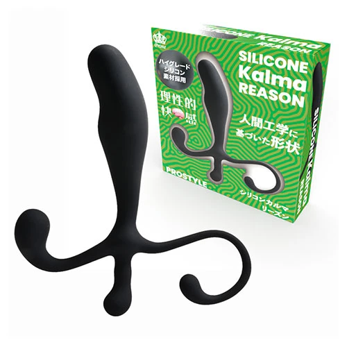 シリコンカルマ リーズン