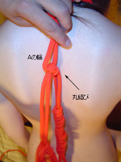 簡単亀甲縛りセット