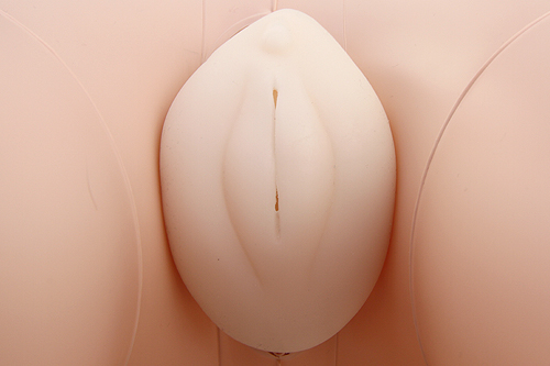 はめドル!!育成中 エイカ