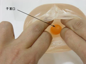 17(セブンティーン)