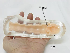 17(セブンティーン)