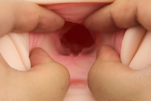 オンナノコの解体新書