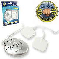 (ZEUS PALM POWERBOX) ゼウス パーム コントローラー