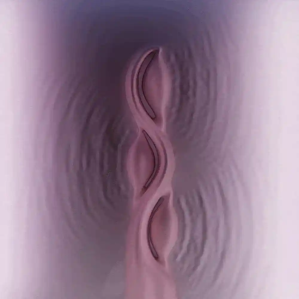 の画像
