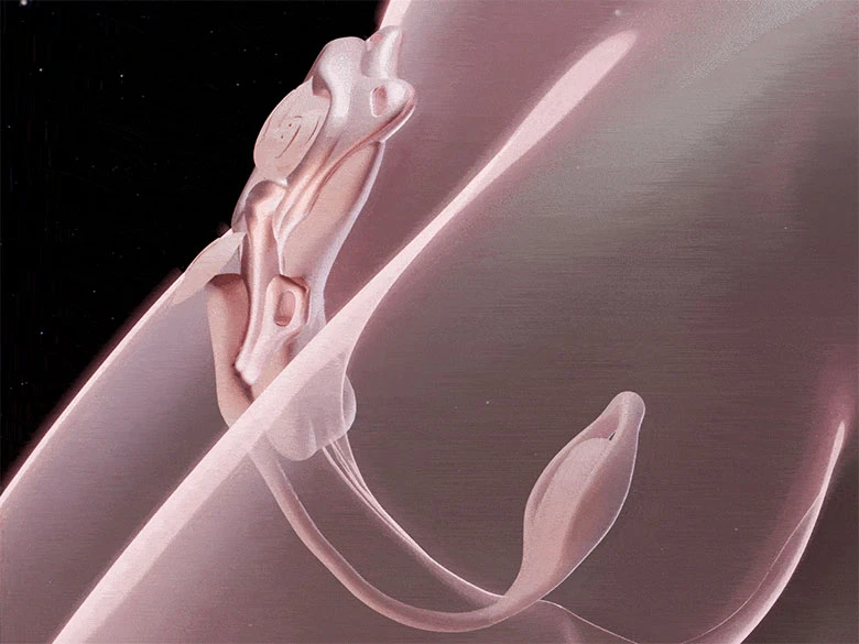 の画像