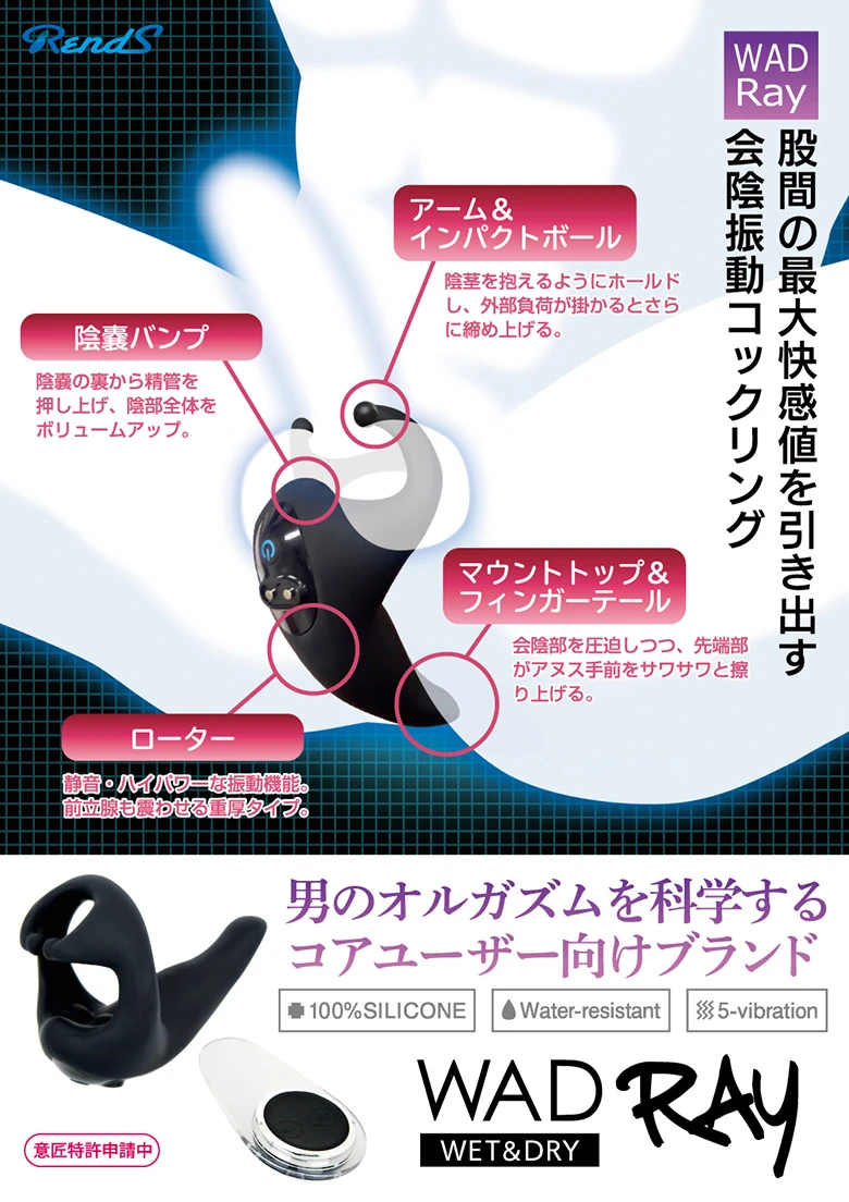 の画像