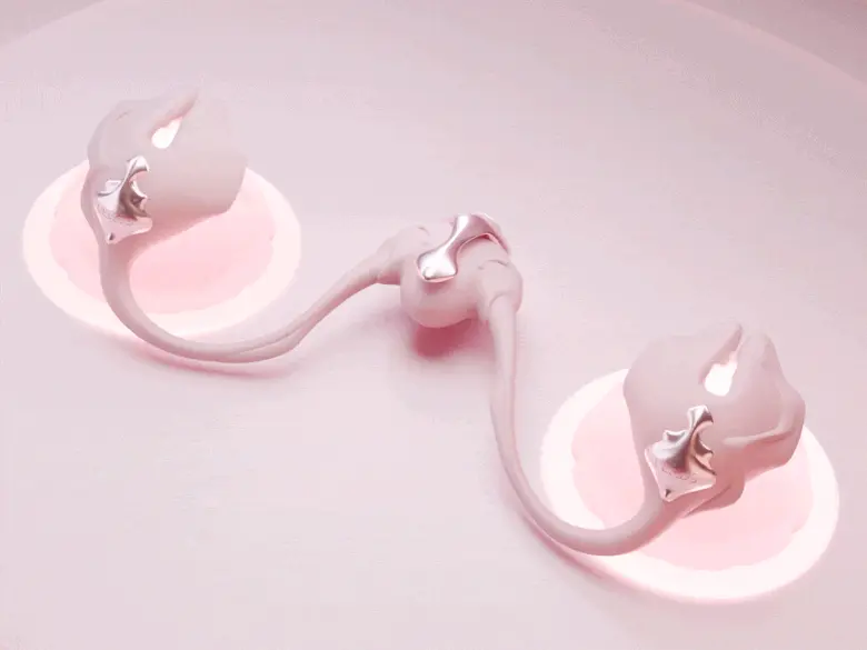 の画像