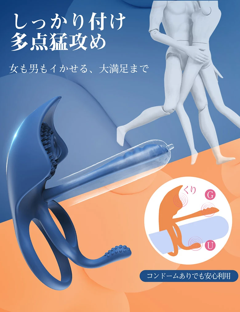 の画像