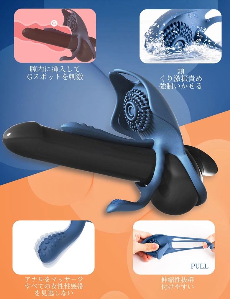 の画像