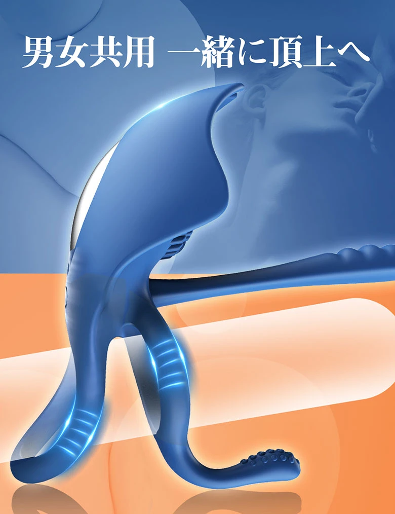 の画像