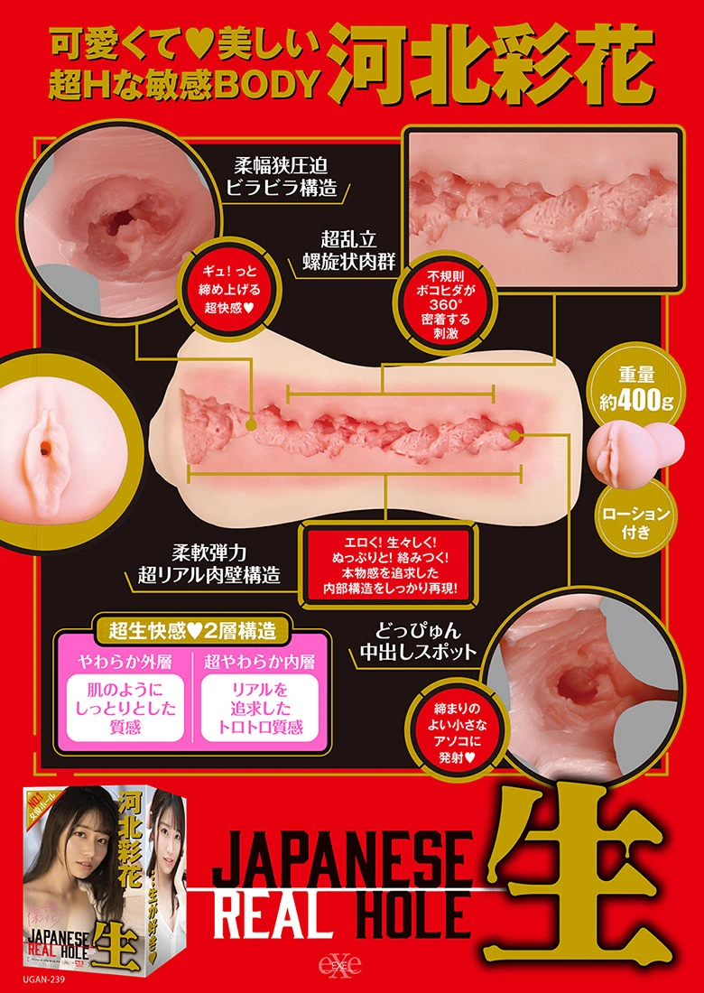 の画像