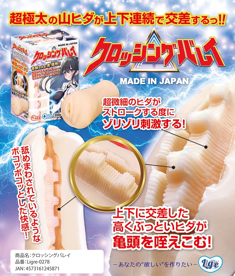 の画像