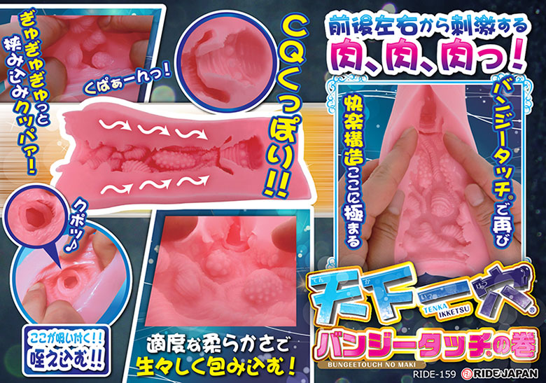 の画像