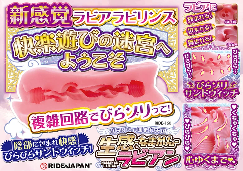 の画像