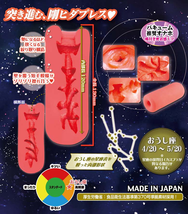 の画像