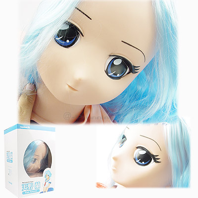【セール品】　天野　蘭（あまのらん）　＜大幅値下げしました！＞