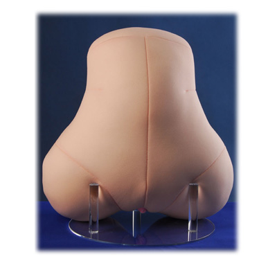 【セール品】　訳アリ・桃尻クッション　姉サイズセット（オナホ未付属）