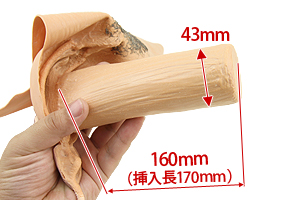 女装パンツ（膣付きタイプ）
