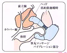 ＜売り切り特価＞ 電動オナマグラオールマイティ