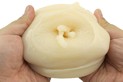 異世界への挿入シリーズ２　ドヴァー ソフト