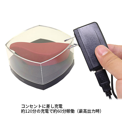 iroha＋ プレジャー・アイテム_19