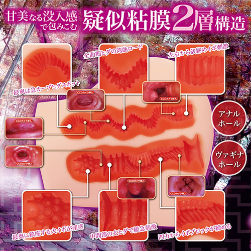 【取り寄せ商品】淫惑ラビリンス