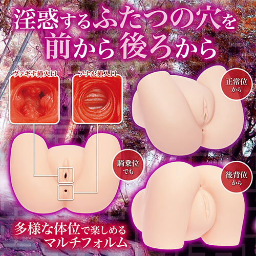 【取り寄せ商品】淫惑ラビリンス