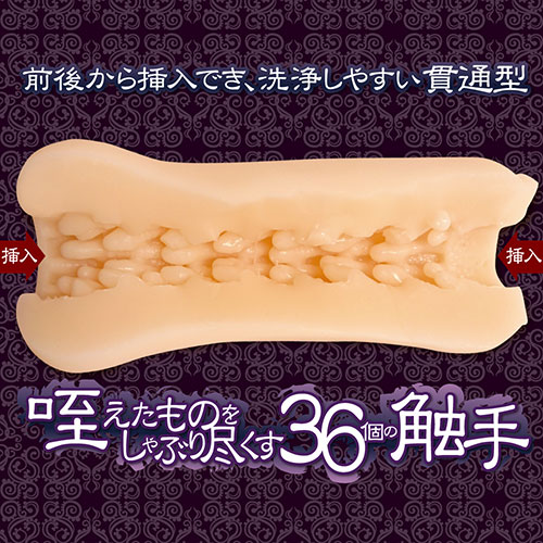  刺突する肉壁 ハード_0