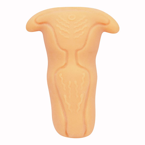 ＜売り切り特価＞淫紋のウテルス T－zone【ハード】