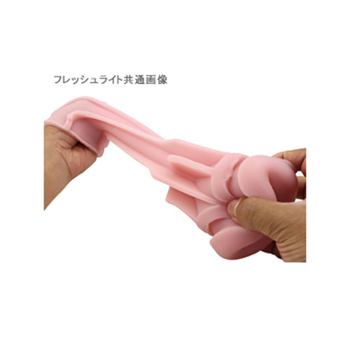 説明