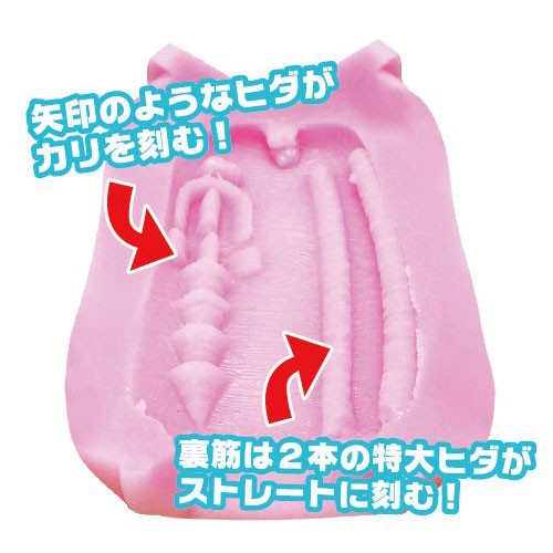 覚醒奥義「ヒダコンボ　タイプR」
