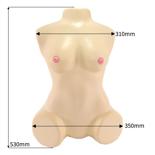 パーフェクトボディ 軽量低反発クッション仕様_1