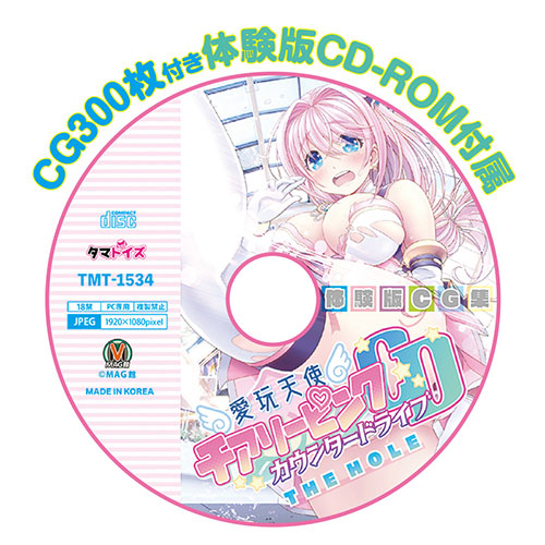 【売り切り特価】愛玩天使 チアリーピンク カウンタードライブ THE HOLE