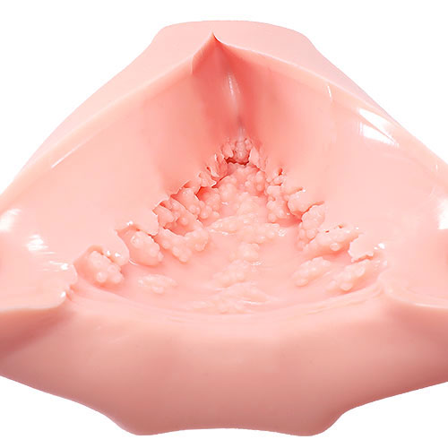 次世代HOLE KUU−SOU 人工皮膚100％_10