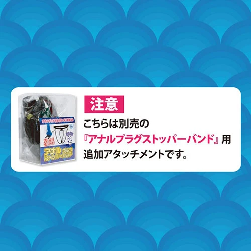 説明