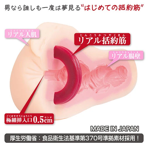 性徒会長