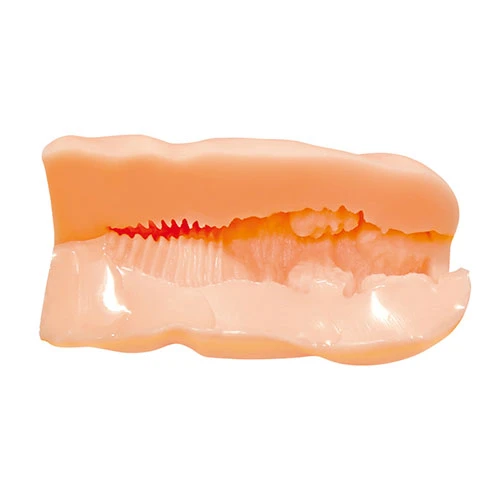 販売終了しました。