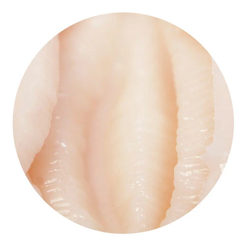 ナースコールガール_4