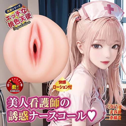 説明