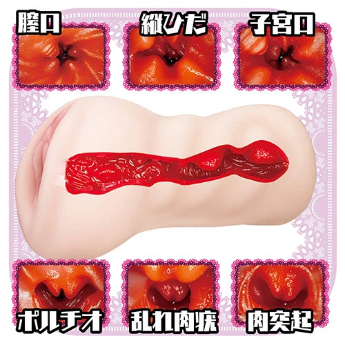 説明
