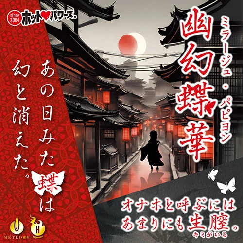 説明
