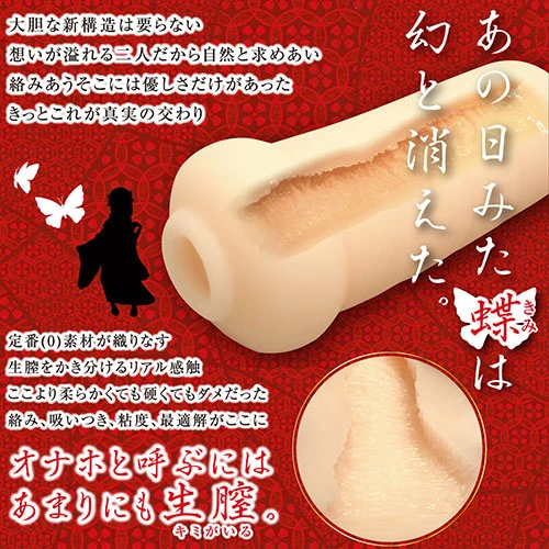 説明