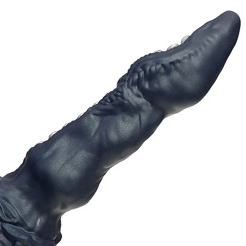 説明