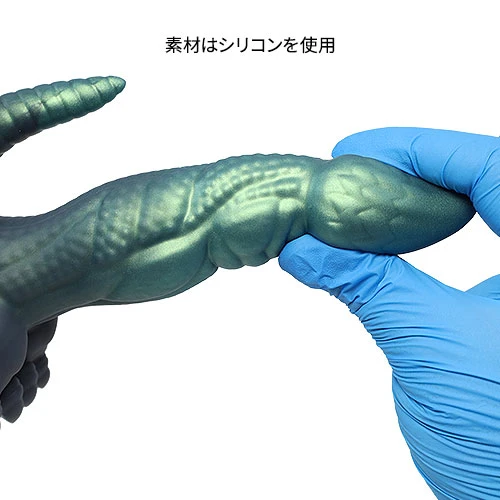 説明