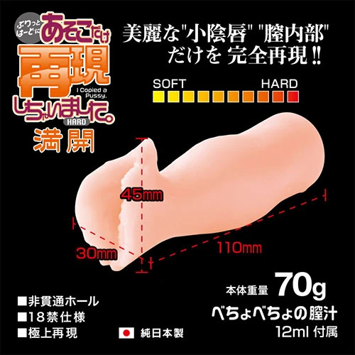 あそこだけ再現しちゃいました。満開ハード