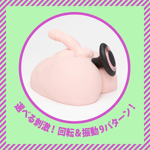 説明
