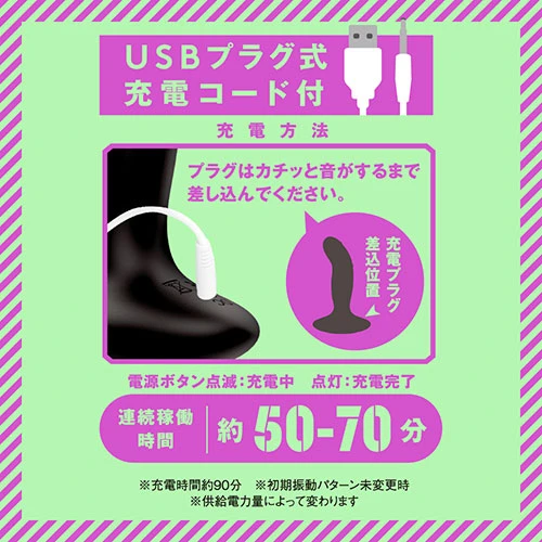 説明