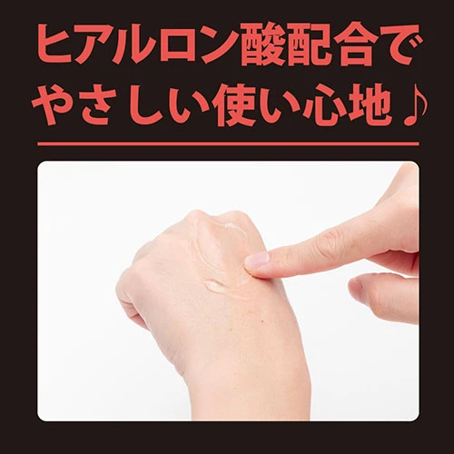 説明