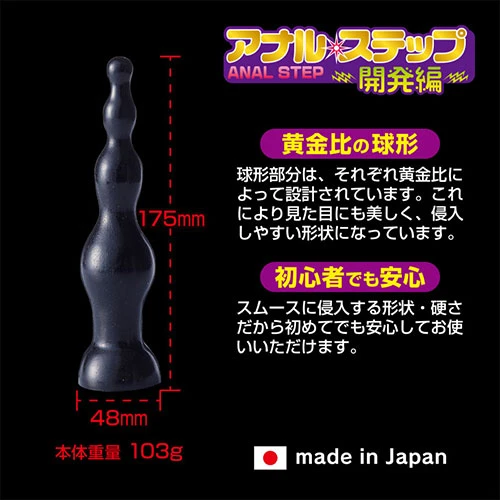 アナルステップ　開発編